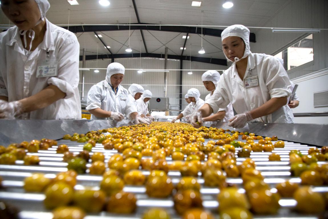 堅守綠色初心，鑄就品質傳奇——揭秘一家企業如何讓產品連續24年通過“綠色食品”認證